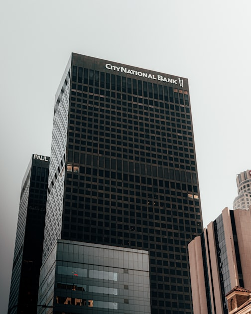 The Future of Online Financial Institutes